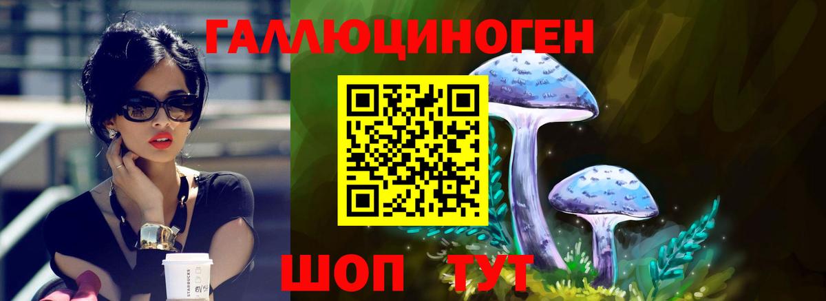 Люберцы  Псилоцибиновые грибы MAGIC MUSHROOMS  Вход с VPN 