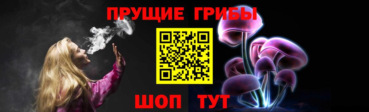 Галлюциногенные грибы Cubensis Люберцы